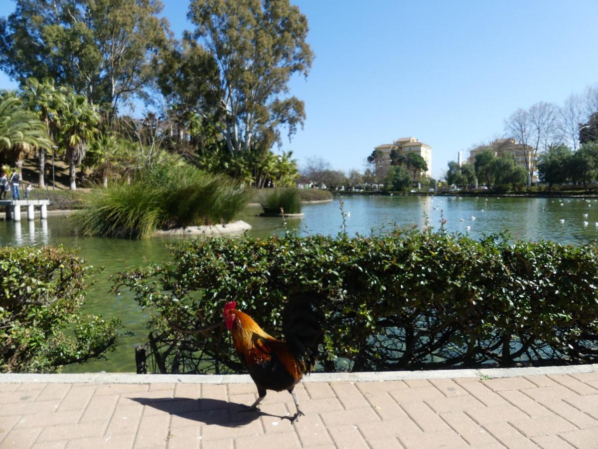 La Carihuela Torremolinos - Studio 3 - Costa Sol Holiday Rentals Kültér fotó